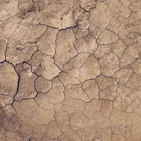 زمین-کوشک-میدان