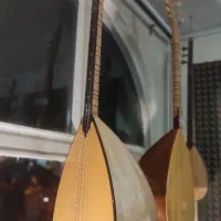 ساخت تخصصی باغلاما