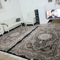 اجاره واحد ساختمان پروین اعتصامی|اجارهٔ آپارتمان|مراغه, |دیوار