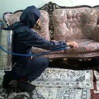 شرکت سمپاشی ریزه کار سم پاشی با ضمانت