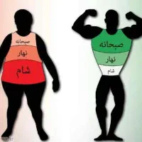 لاغری،چاقی و پاکسازی بدن