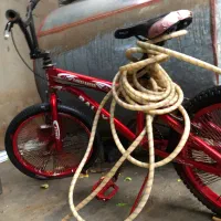 دوچرخه|دوچرخه، اسکیت، اسکوتر|وحدتیه, |دیوار