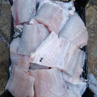 ماهی غزل آزاد|ماهی|اسلام‌‌آباد غرب, |دیوار