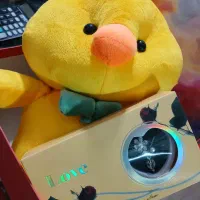 عروسکهای خرسی|کالسکه و لوازم جانبی|ارومیه, |دیوار