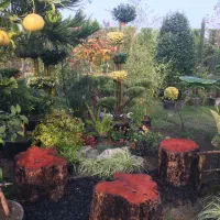 طراحی و اجرای فضای سبز