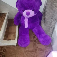 خرس بزرگ|اسباب‌بازی بچه|اردبیل, |دیوار