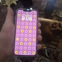 آیفون 13|موبایل|دماوند, گیلاوند|دیوار