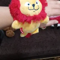 تدی موزیکالی|کلکسیون و سرگرمی|مهاباد (آذربایجان غربی), |دیوار