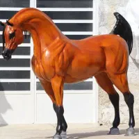 خرید و فروش اسب