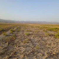 زمین-با-سند-تک-برگ-رسمی-فقط-100-میلیون