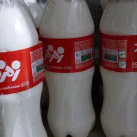 کشک و کره گوسفندی
