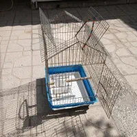 قفس بزرگ ۲ در نو