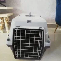 یکعدد باکس نو