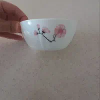 پیاله آرکوپال
