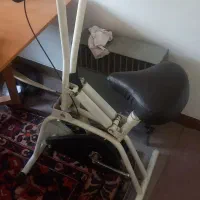 دوچرخه ثابت