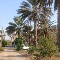 باغ، زمین کشاورزی،ویلا، در سرزمین گل نرگس خفر