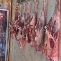 گوشت گوسفندی کشتار روز|خوردنی و آشامیدنی|رشت, دیلمان|دیوار
