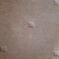 موکت پالاز نرم ،پرز بلند درحد نو و خوشرنگ