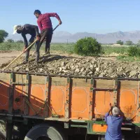 کود گاوی مرغوب تک و تریلی|خدمات باغبانی و درختکاری|بم, |دیوار