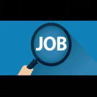 راهنمایی کنید دنبال شغلم