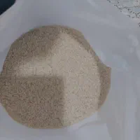 خریدو فروش برنج مستقیم از  کشاورز با بهترین قیمت|خوردنی و آشامیدنی|آمل, |دیوار
