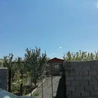 باغ-فروشی-جاده-باغرود-میلان-آرش