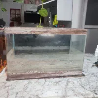 اکواریوم شیشه خم