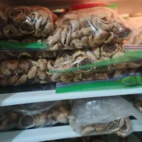 انجیر خشک آفتابی