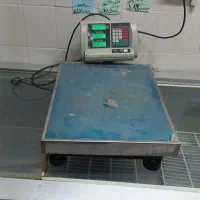 باسکول ۳۰۰ کیلویی کاملا سالم