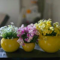 سه عدد گلدان به همراه گل