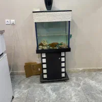 اکواریوم با تمام وسایل