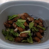 حلزون مولد تخم گذار