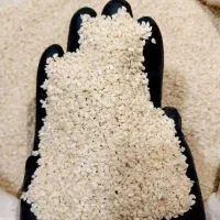 کنجد سفید بدون پوست پاکستانی