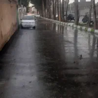 زمین معصومیه پایین فعلا مزوعی کنار باغ چسبیده طرح