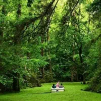 تور یک روزه مرداب سراوان