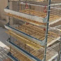 فروش 2عدد قفس