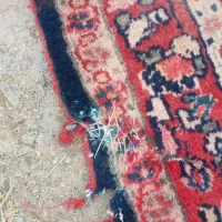 فرش دستبافت