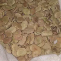 باقلا|خدمات باغبانی و درختکاری|دره شهر, |دیوار