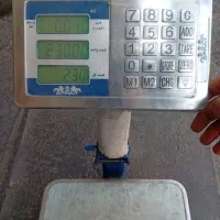 ترازو دیجیتال در حدنو