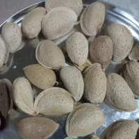 بادام درختی