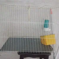 قفس سی درپنجاه