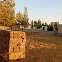 زمین-250-متر-جابان