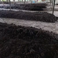 تولید کود ورمی کمپوست ، خاک و کرم آیزنیا