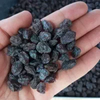 مویز شیرازی هسته دار