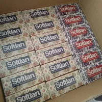 اجناس عمده|مواد شوینده و دستمال کاغذی|دهلران, |دیوار