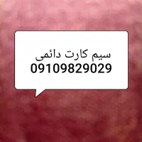 سیم کارت به شماره 09109829029