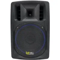 اکو پرتابل ۱۲ اینچ برین صوت