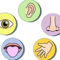 تدریس خصوصی