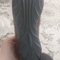 دو جفت کفش نو|کیف، کفش، کمربند|کرج, عظیمیه|دیوار