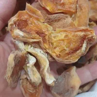 قیصی زردالو وآلو